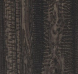   Forbo Allura Wood Black snakewood  