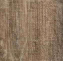   Forbo Allura Wood Natural raw timber  