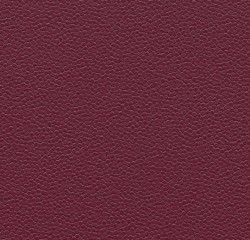   Forbo Allura Abstract Plum scales  