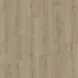 Линолеум Non Brend PRAKTIKA BRUNO 1 в Екатеринбурге