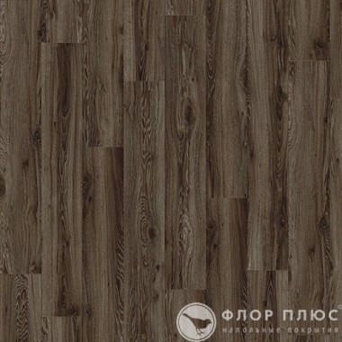   IVC Transform Wood Click BlackJack Oak
