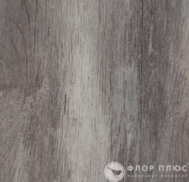   Forbo Allura Wood Grey vintage oak