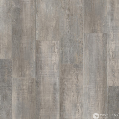   (SPC) Timber Blackwood WILHELM