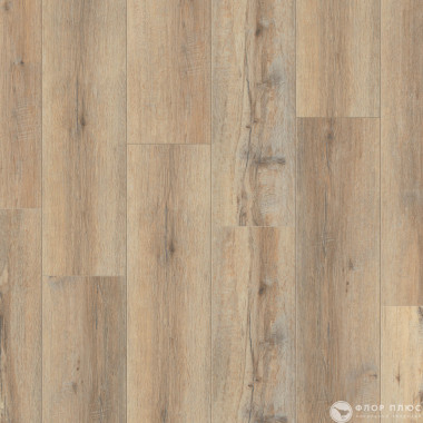   (SPC) Timber Blackwood CARLO