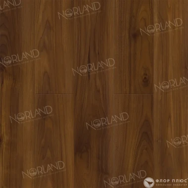 Ламинат Norland Elegant Strong Орех Кипр LF302-19