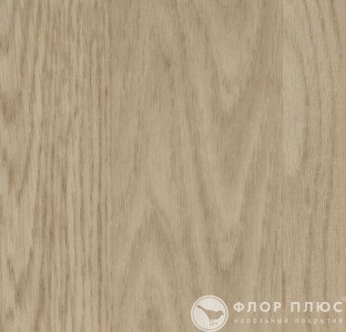   Forbo Allura Wood Whitewash elegant oak