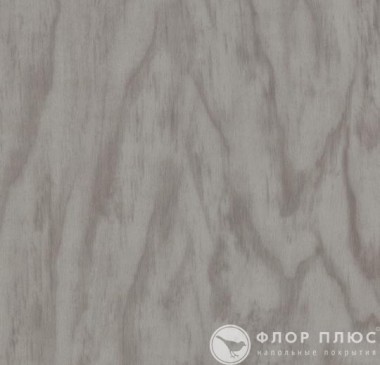   Forbo Allura Premium Grey plywood