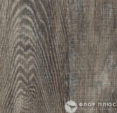   Forbo Allura Click Decibel Grey raw timber