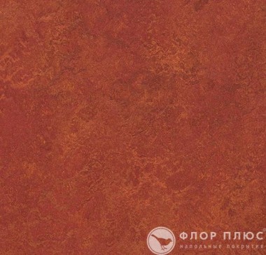  Forbo Marmoleum Modular Colour Henna