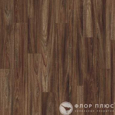   IVC Transform Wood Click Fazino Maple