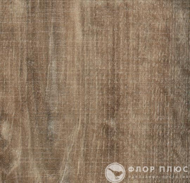   Forbo Allura Wood Natural raw timber