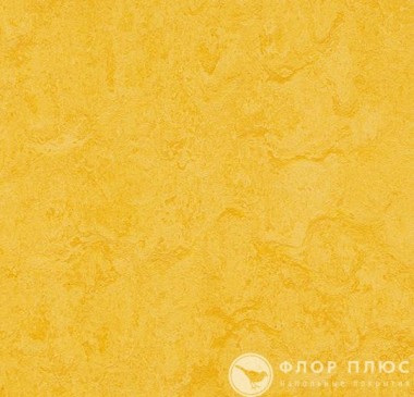  Forbo Marmoleum Modular Colour Lemon zest