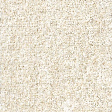  Zartex  (Soft carpet) 565 