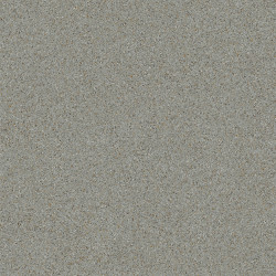 Линолеум Tarkett CRAFT GELIOS 3 в Екатеринбурге