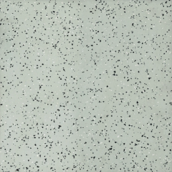 Линолеум Tarkett iQ ERA SC 805 в Екатеринбурге