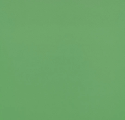 Линолеум Forbo Sportline Classic 3040 в Екатеринбурге