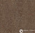 Мармолеум Forbo Marmoleum Fresco Walnut в Екатеринбурге