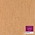 Линолеум Tarkett IQ Optima 3242831 в Екатеринбурге